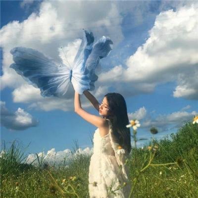 拜见宫主大人 高清在线观看