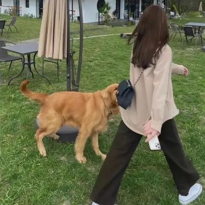 与一位女士合影 高清在线观看